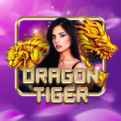 sportplus live casino Dragon Tiger icon